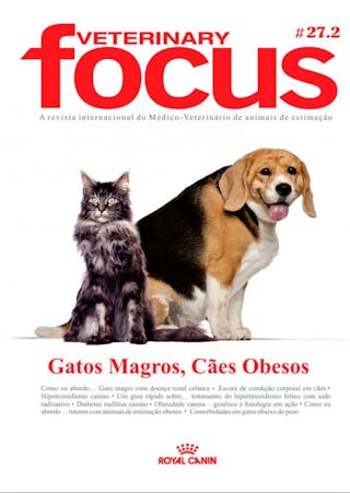Gatos Magros, Cães Obesos